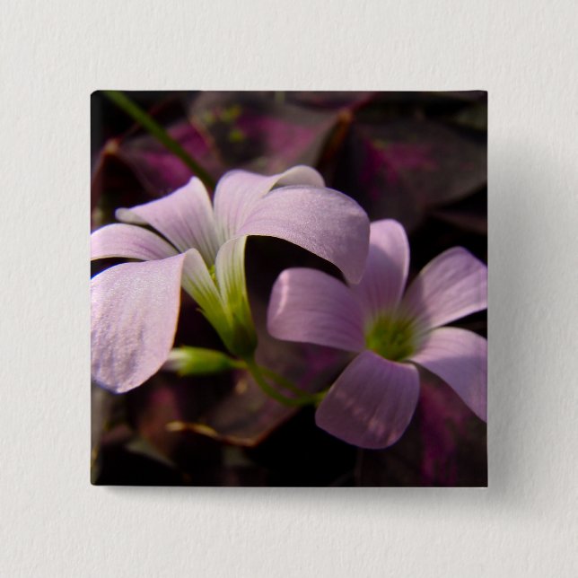 Badge Carré 5 Cm Blossoms Oxalis violets (Devant)