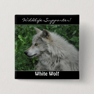 Badge Carré 5 Cm Bois loup gris loup animal sauvage