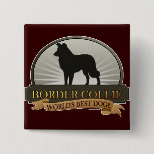 Badge Carré 5 Cm Border collie