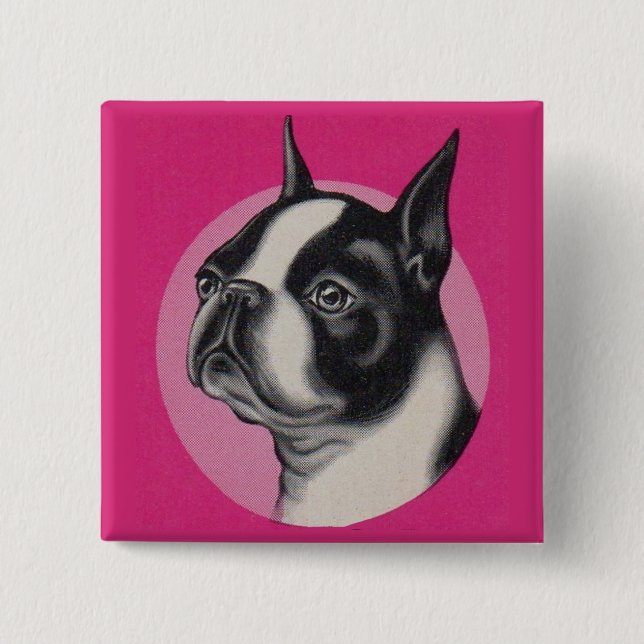 Badge Carré 5 Cm Boston terrier (Devant)