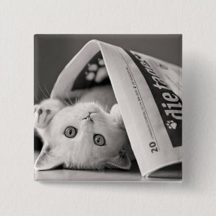 Badge Carré 5 Cm Botton Cat