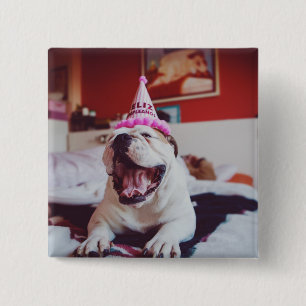 Badge Carré 5 Cm Bouledogue britannique des images de Getty