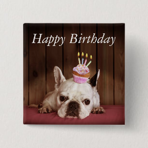 Badge Carré 5 Cm Bouledogue français avec le petit gâteau