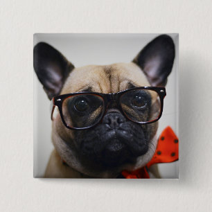 Badge Carré 5 Cm Bouledogue français avec les verres et la cravate