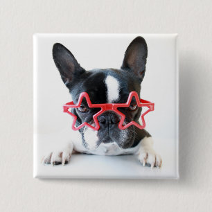 Badge Carré 5 Cm Bouledogue français avec les verres rouges