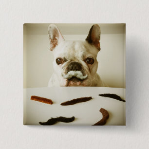 Badge Carré 5 Cm Bouledogue français avec une moustache