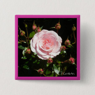 Badge Carré 5 Cm Bourgeons de bourgeonnement de rose de rose