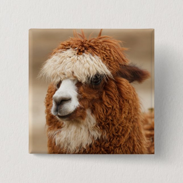 Badge Carré 5 Cm Bouton Alpaca (Devant)