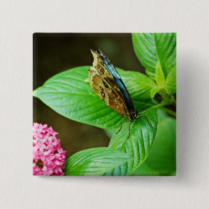 Badge Carré 5 Cm Bouton bleu Morpho 143