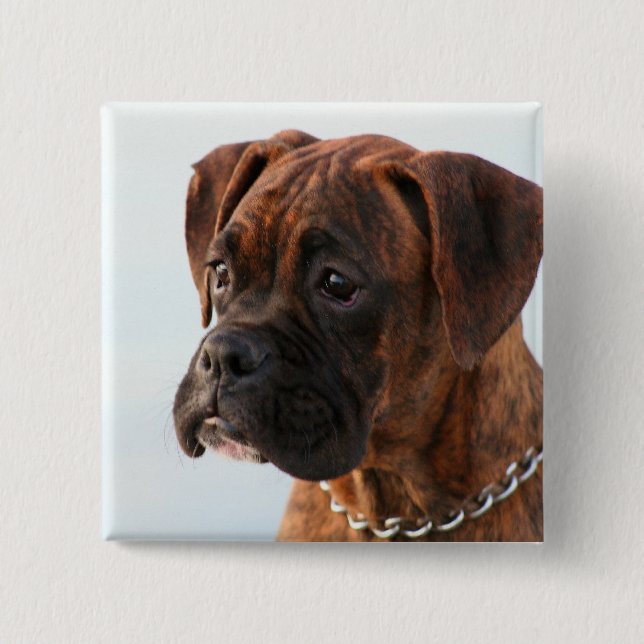 Badge Carré 5 Cm Bouton Brindle de chiot de boxeur (Devant)