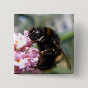 Badge Carré 5 Cm Bouton Bumblebee et Fleurs roses occupé