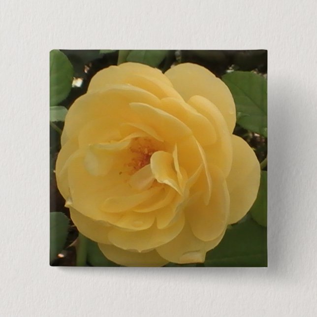 Badge Carré 5 Cm Bouton Camellia Jaune (Devant)
