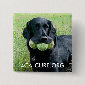 Badge Carré 5 Cm Bouton carré