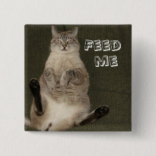 Badge Carré 5 Cm Bouton Carré de chat "FEED ME"