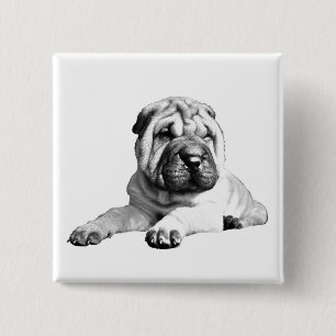 Badge Carré 5 Cm Bouton Carré mignon Shar Pei