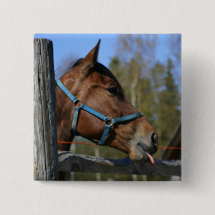 Badge Carré 5 Cm Bouton Cheval