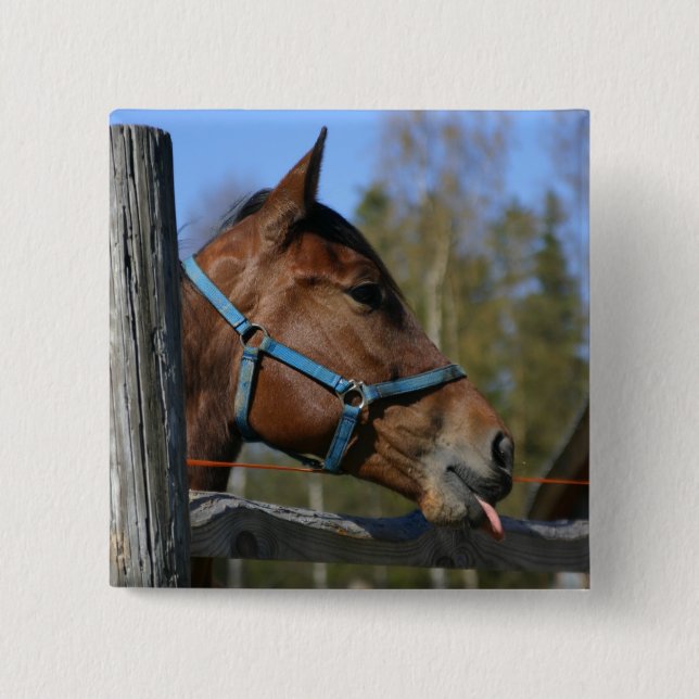 Badge Carré 5 Cm Bouton Cheval (Devant)