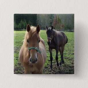 Badge Carré 5 Cm Bouton Cheval