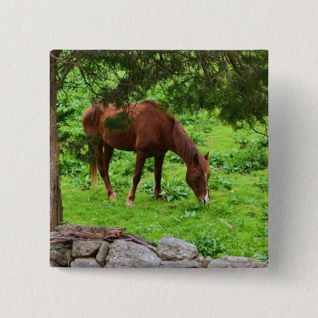 Badge Carré 5 Cm Bouton Cheval (Devant)