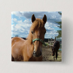 Badge Carré 5 Cm Bouton Cheval
