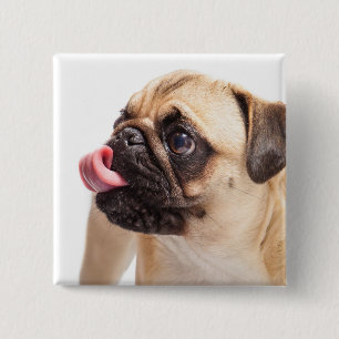 Badge Carré 5 Cm Bouton Chien mignon 1