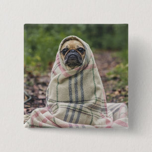Badge Carré 5 Cm Bouton Chien Mignon 2