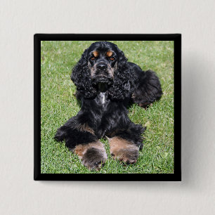 Badge Carré 5 Cm Bouton Cocker Spaniel