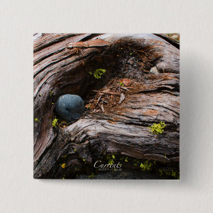 Badge Carré 5 Cm Bouton Courants