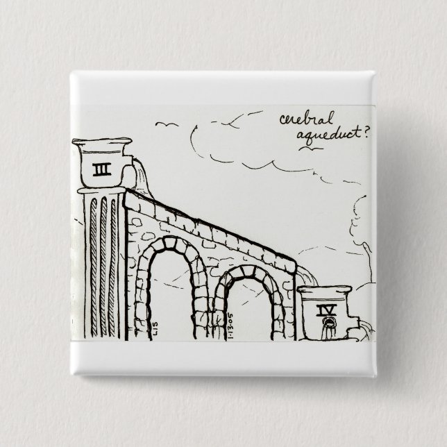 Badge Carré 5 Cm Bouton d'aqueduc cérébral (Devant)