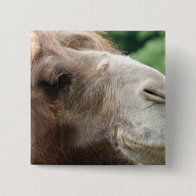 Badge Carré 5 Cm Bouton de chameau Arabe (Devant)