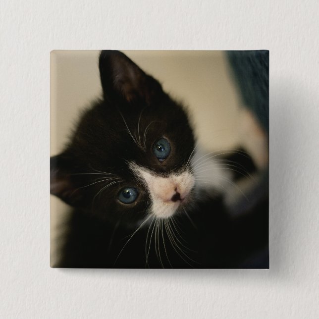 Badge Carré 5 Cm Bouton de chaton de BW (Devant)