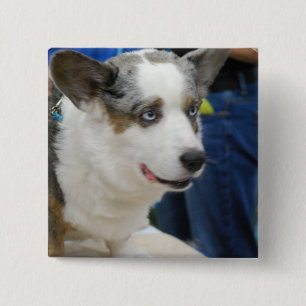 Badge Carré 5 Cm Bouton de chien de corgi de Gallois de cardigan