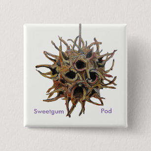 Badge Carré 5 Cm Bouton de cosse de Sweetgum