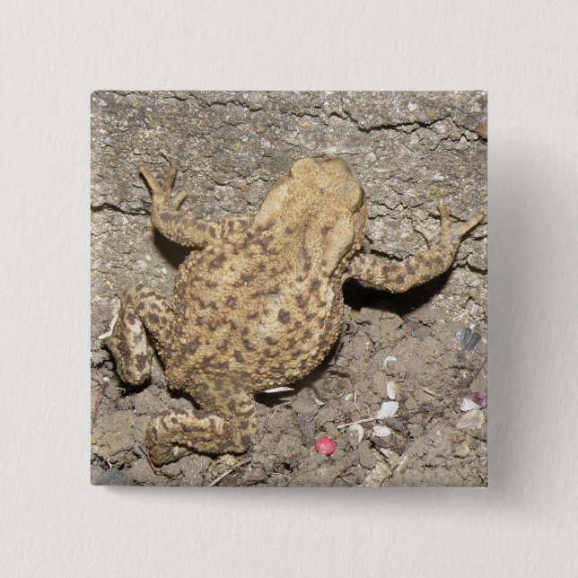Badge Carré 5 Cm Bouton de crapaud à rampe mignon (Devant)