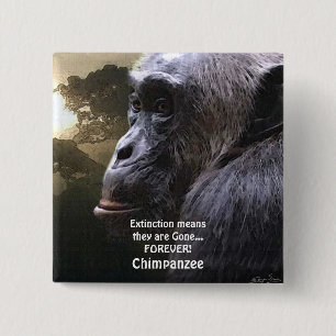 Badge Carré 5 Cm Bouton de la faune CHIMPANZEE III EXTINCTION