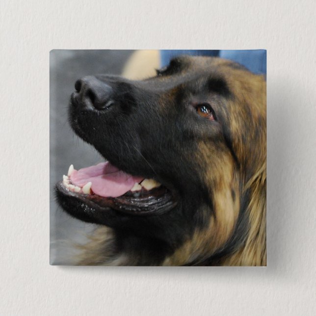 Badge Carré 5 Cm Bouton de Leonberger (Devant)