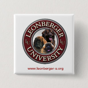 Badge Carré 5 Cm Bouton de Leonberger U