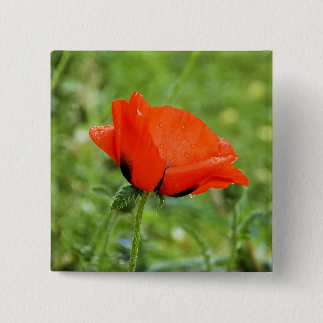 Badge Carré 5 Cm Bouton de Pavot (Devant)
