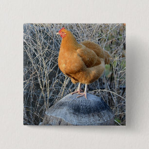 Badge Carré 5 Cm Bouton de poulet