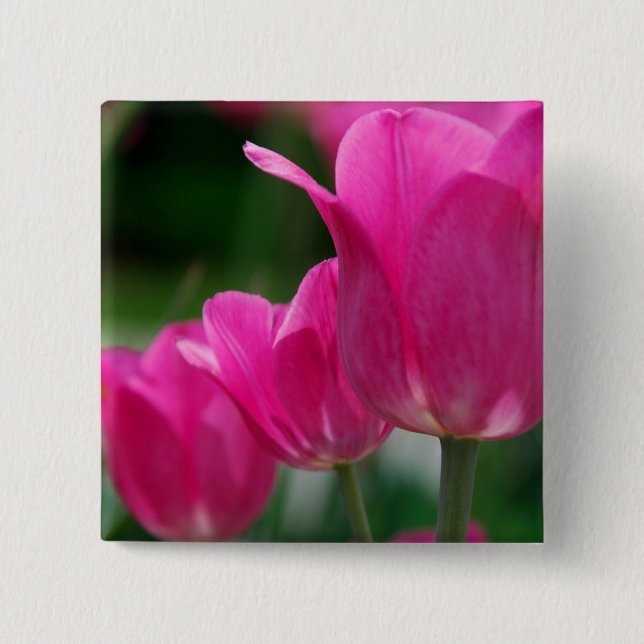 Badge Carré 5 Cm Bouton de tulipes (Devant)