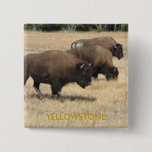 Badge Carré 5 Cm Bouton de Yellowstone de Buffalo