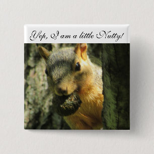 Badge Carré 5 Cm Bouton d'écureuil humoristique