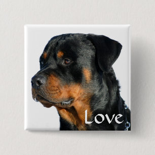 Badge Carré 5 Cm Bouton d'épingle de chien noir et Brown de l'aime