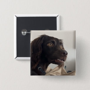 Badge Carré 5 Cm Bouton d'épingle de mème de chien confus
