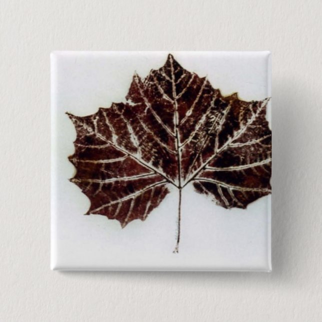 Badge Carré 5 Cm Bouton d'impression de la nature feuille (Devant)