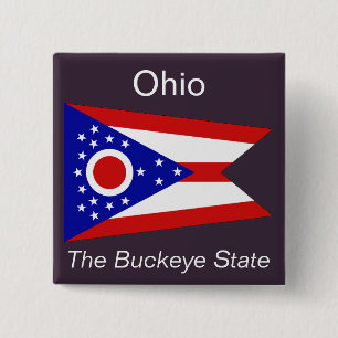 Badge Carré 5 Cm Bouton Drapeau Ohioan