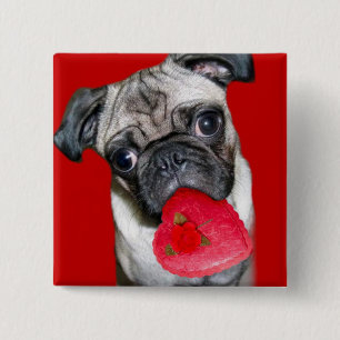 Badge Carré 5 Cm Bouton du carlin de Valentine