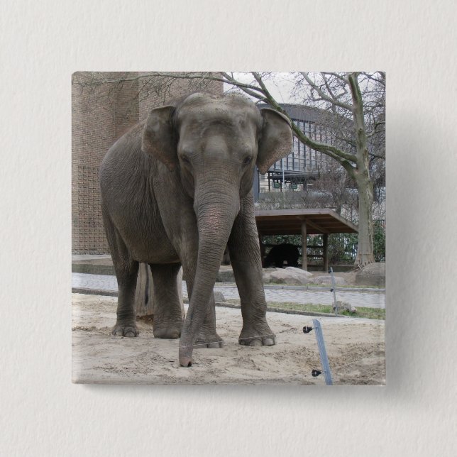 Badge Carré 5 Cm Bouton ÉLÉPHANT (Devant)