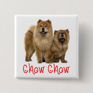 Badge Carré 5 Cm Bouton épinglé Chien Chow Chow Mignon