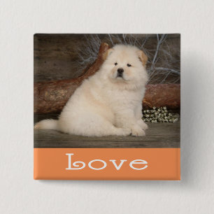 Badge Carré 5 Cm Bouton épinglé Chien Chow Chow Mignon